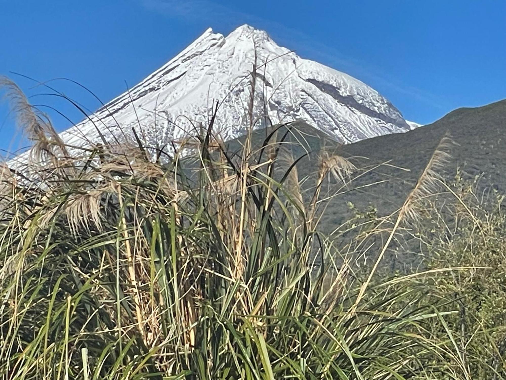 Mangorei Heights - New Plymouth Luaran gambar